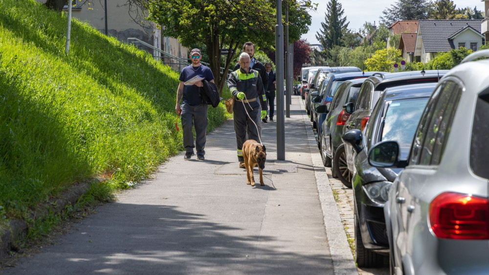 U Beču pas locira oštećene strujne kablove
