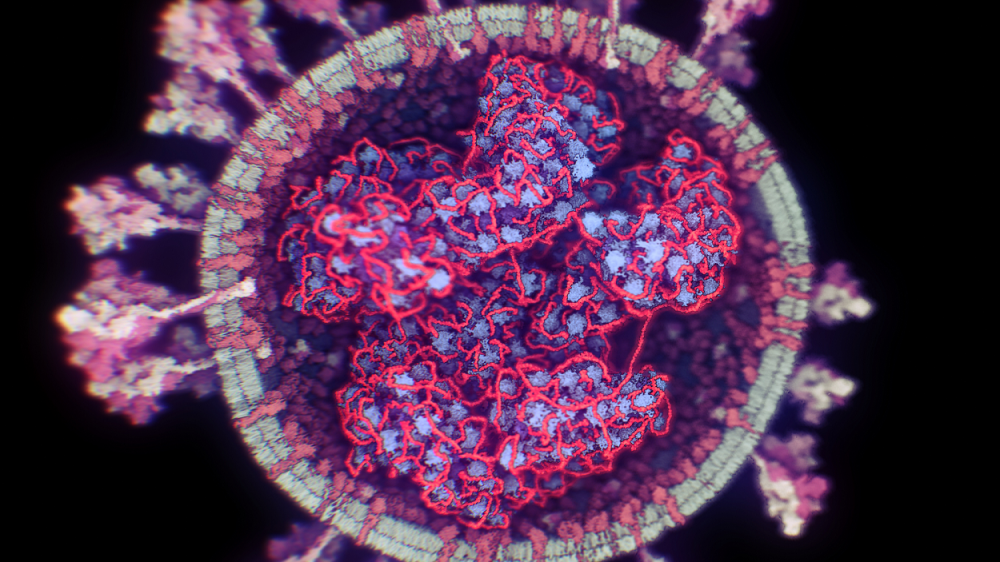 Bečki naučnici omogućili 3D prikaz koronavirusa