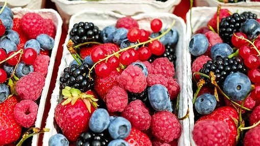 Najviše se isplati ulagati u borovnice, jabuke, jagode, maline