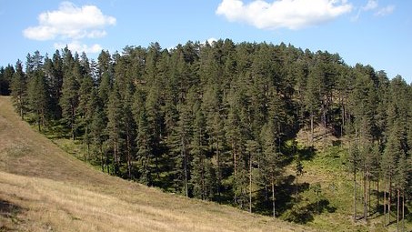 Veoma visoka posećenost Zlatibora