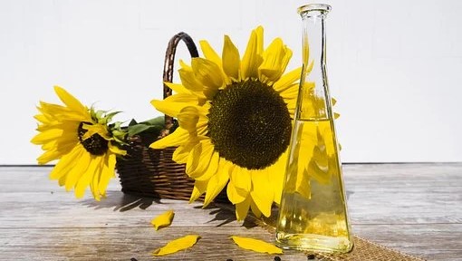 Moldavska Trans oil grupa kupuje uljaru u Šidu