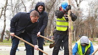 Ada Ciganlija dobila šezdeset novih sadnica