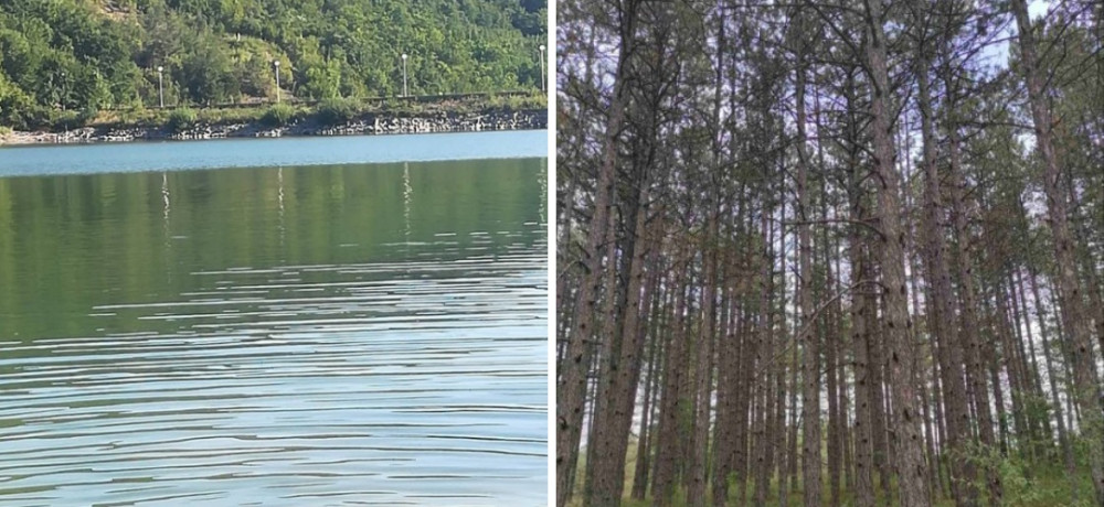 Produžen rok za korišćenje zamenskih vaučera do kraja 2022.