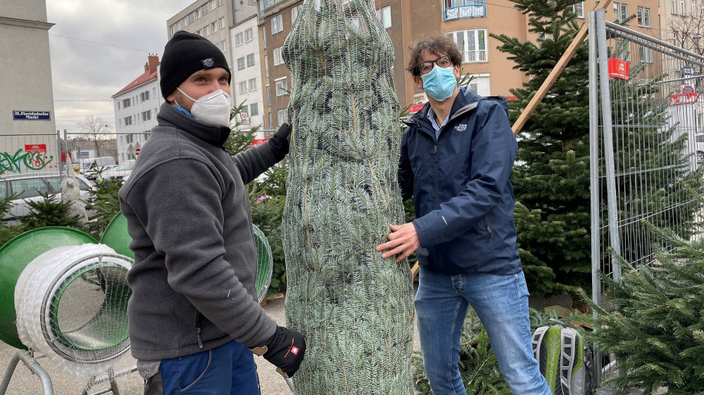 Prodaja jelki u Beču na 279 lokacija