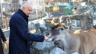 Nova ulaganja i edukativni centar za najmlađe u Beogradskom zoo-vrtu