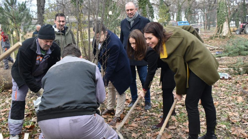 Nastavlja se sa pošumljavanjem Srbije