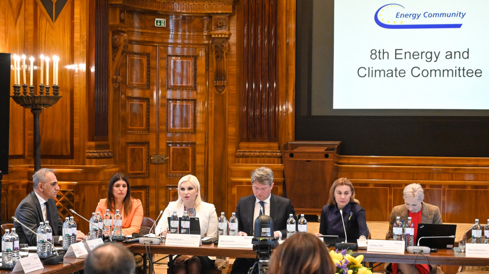 Zelena agenda ključna za energetsku stabilnost i bezbednost