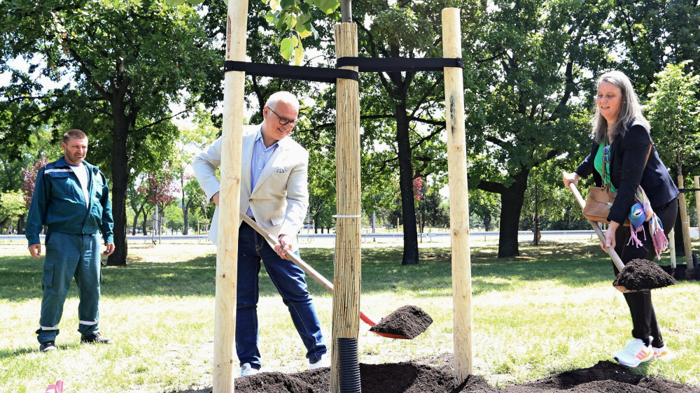 Posađena stabla u Parku prijateljstva kao uspomena na finale Evrolige