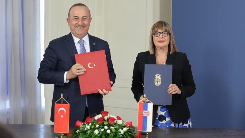 Sporazum sa Turskom o borbi protiv nedozvoljene trgovine kulturnim dobrima