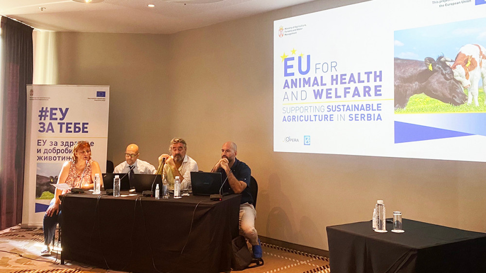 Predstavljen nacrt nacionalne strategije za upravljanje populacijom pasa