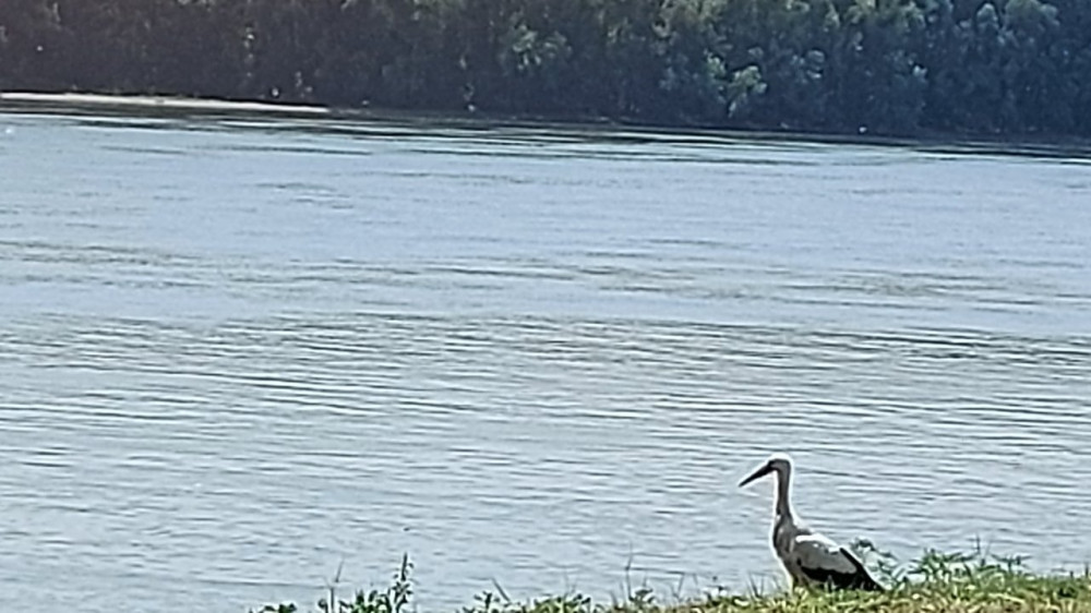 Besplatne ekološke pešačke ture na Velikom ratnom ostrvu