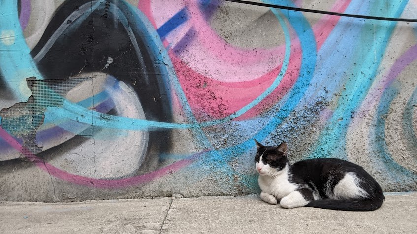 Standardizacija i sertifikacija pet-friendly usluga