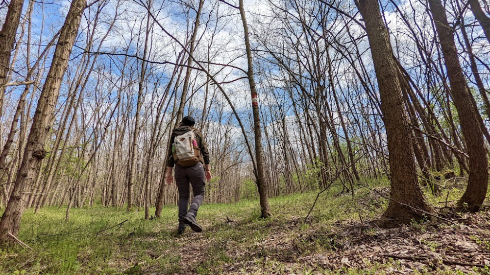 Kako da od dedine njive stvorite porodični biznis
