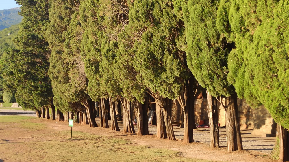 Crna Gora: Vlada ograničila maloprodajnu cenu peleta na 320 evra po toni
