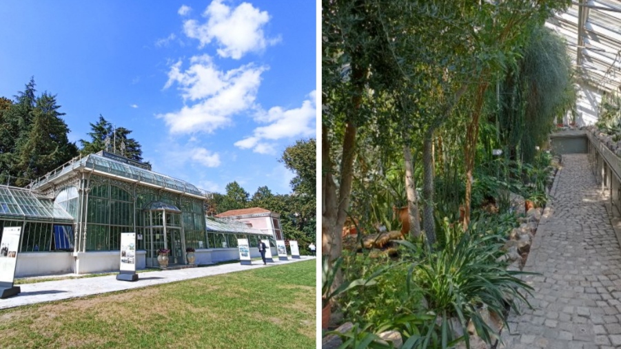 Staklena bašta Jevremovac napunila 130 godina