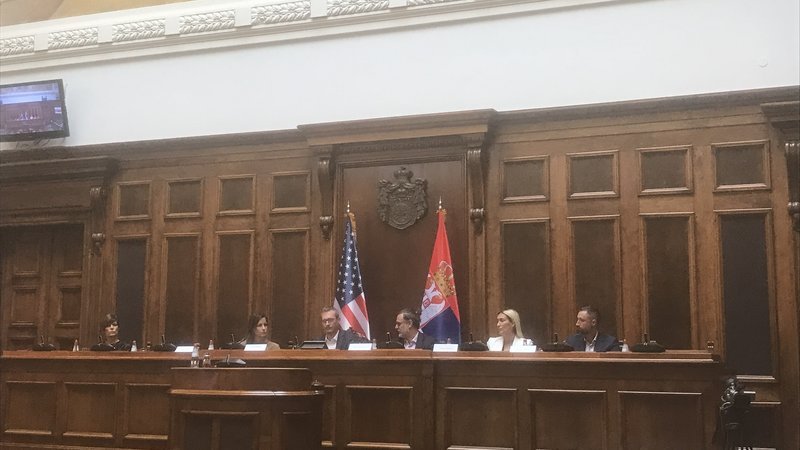 Ekspanzija ekonomskih odnosa sa Amerikom