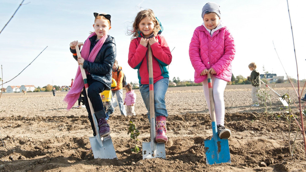 Porodice pošumljavaju Beč