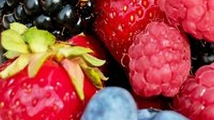 Obuke iz voćarstva, organske proizvodnje i pčelarstva od 19. septembra