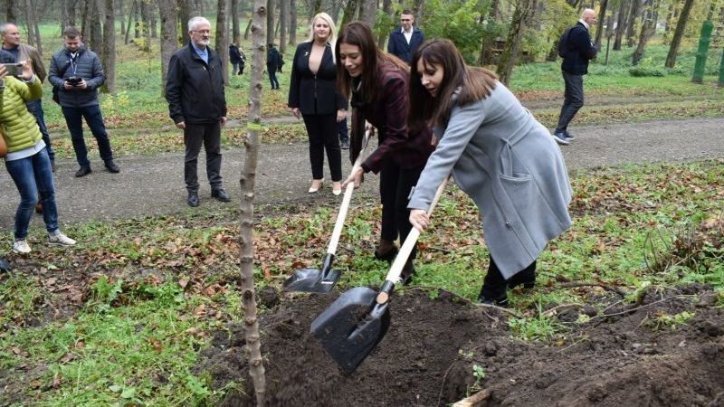 U narednim danima masovno pošumljavanje Srbije