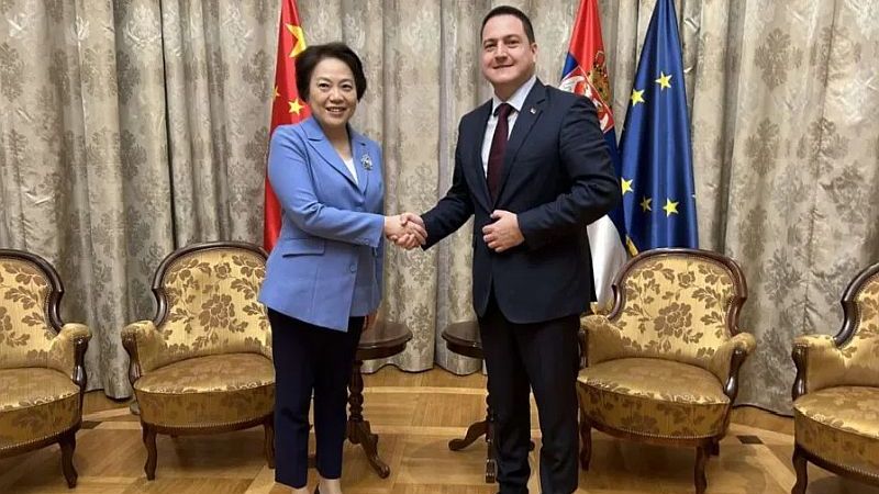 Obrazovanje jedan od stubova bilateralne saradnje Srbije i NR Kine