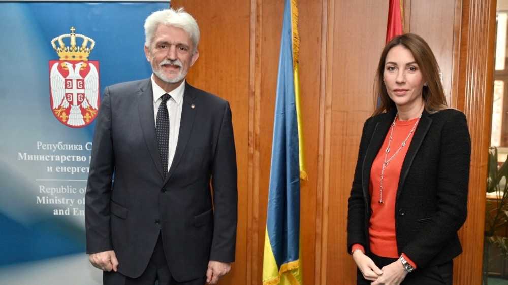 Đedović i Tolkač o potencijalima saradnje Srbije i Ukarjine u elektroenergetskom sektoru
