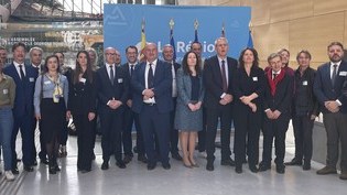 Vesna Vidović na skupu o saradnji Srbije i Francuske u Lionu