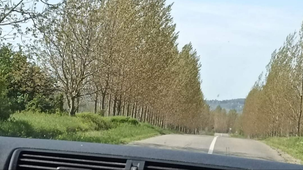 Stižu odmori, omogućiti fleksibilnije korišćenje godišnjeg odmora