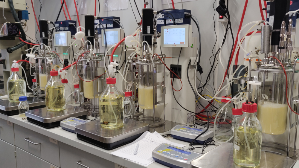 Enzim korena rena stvoren u laboratoriji u Beču