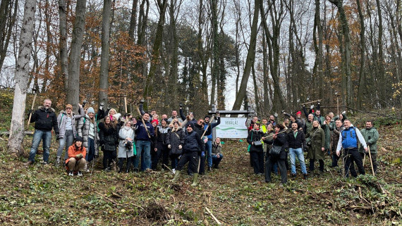 U Trci za šume 19 kompanija sadi 13.182 stabala hrasta na Fruškoj Gori