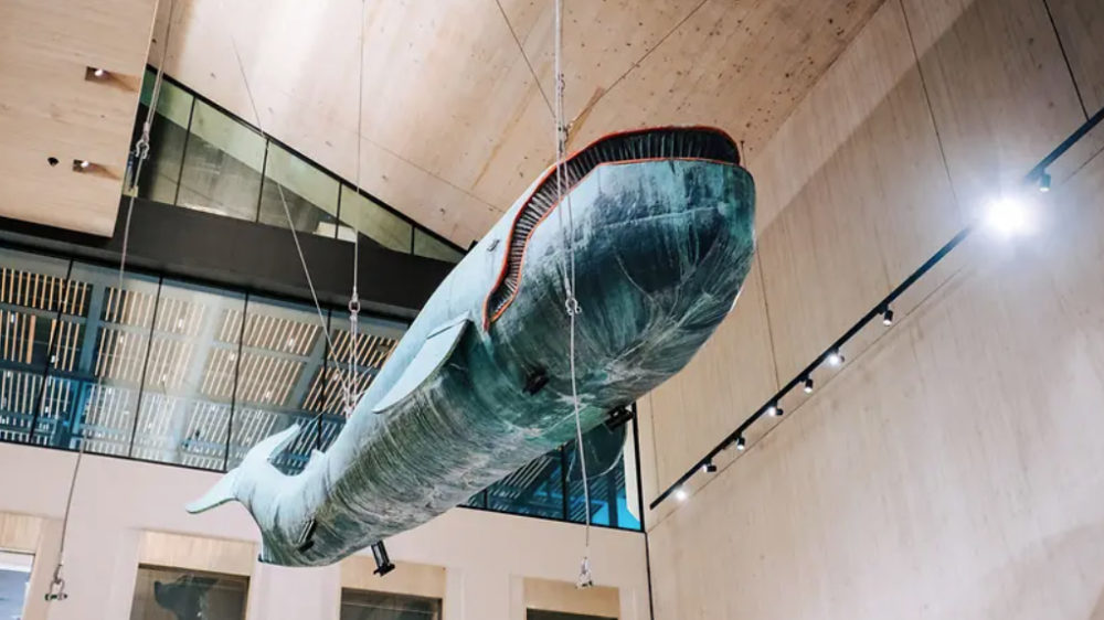 Muzej Beča otvorio vrata na 25 jezika