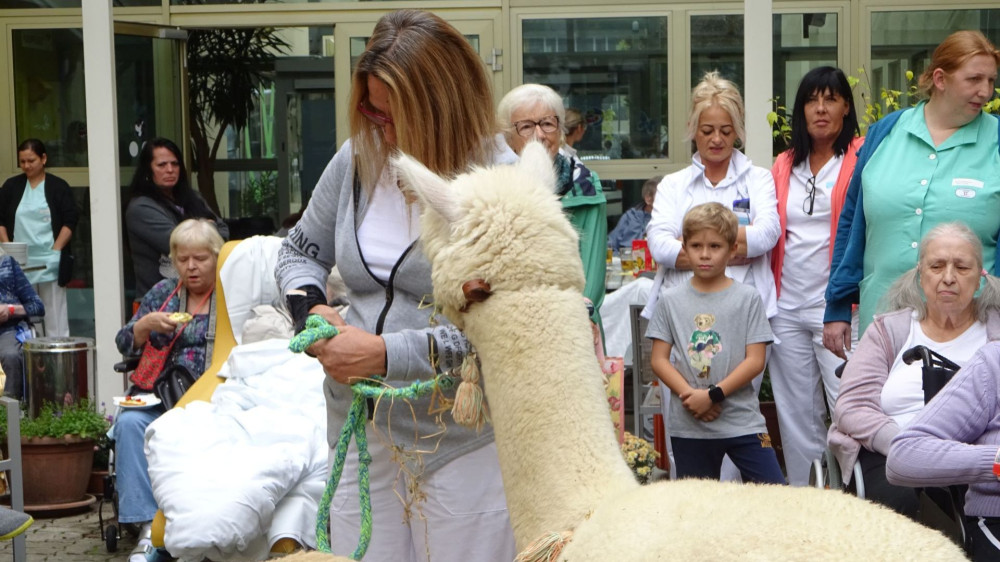 Životinje vraćaju osmeh pacijentima
