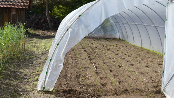 Plastenici za poljoprivredna gazdinstva iz Nove Varoši